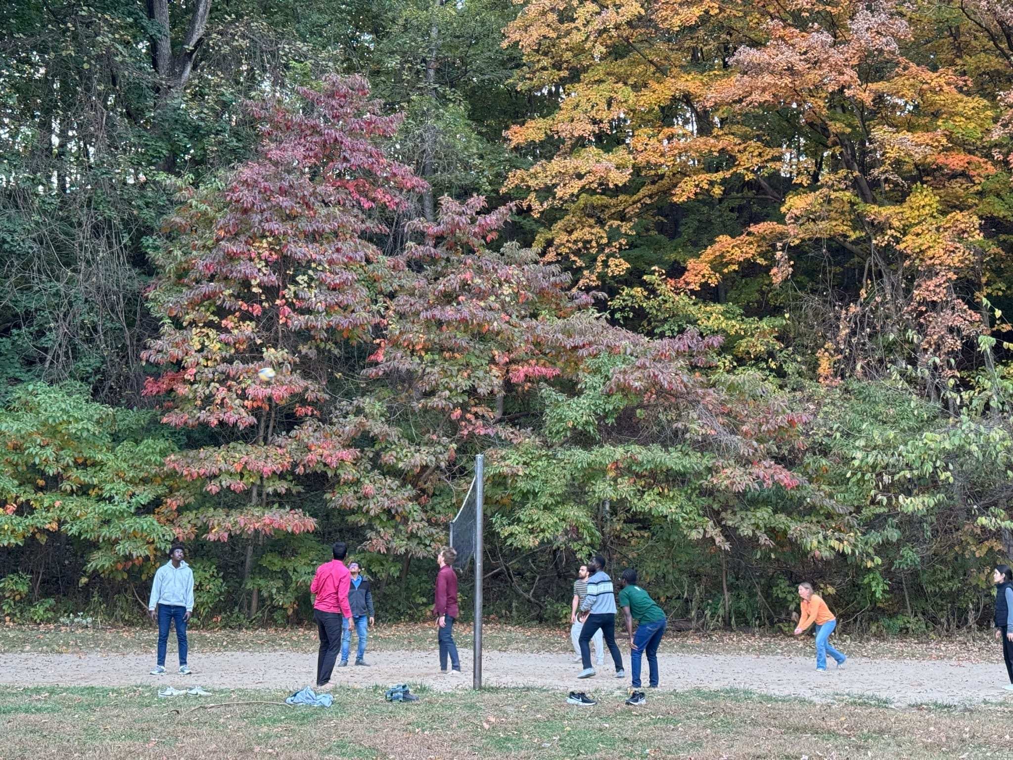 _images/picnic_volley.jpg